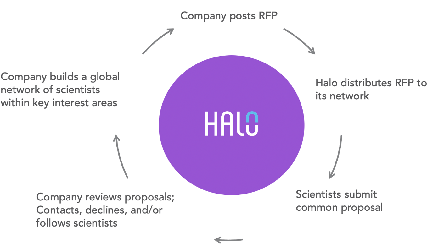How does Halo work?